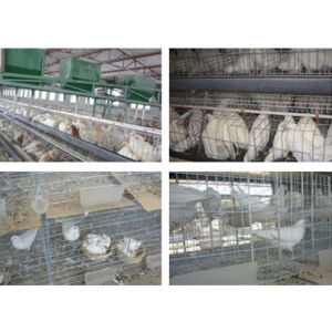 Chicken cage , rabbit cage, dog cage, pet cage
